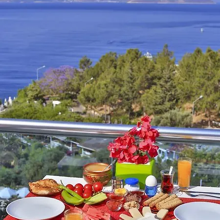 Antiphellos Kuecuekcakil Каш